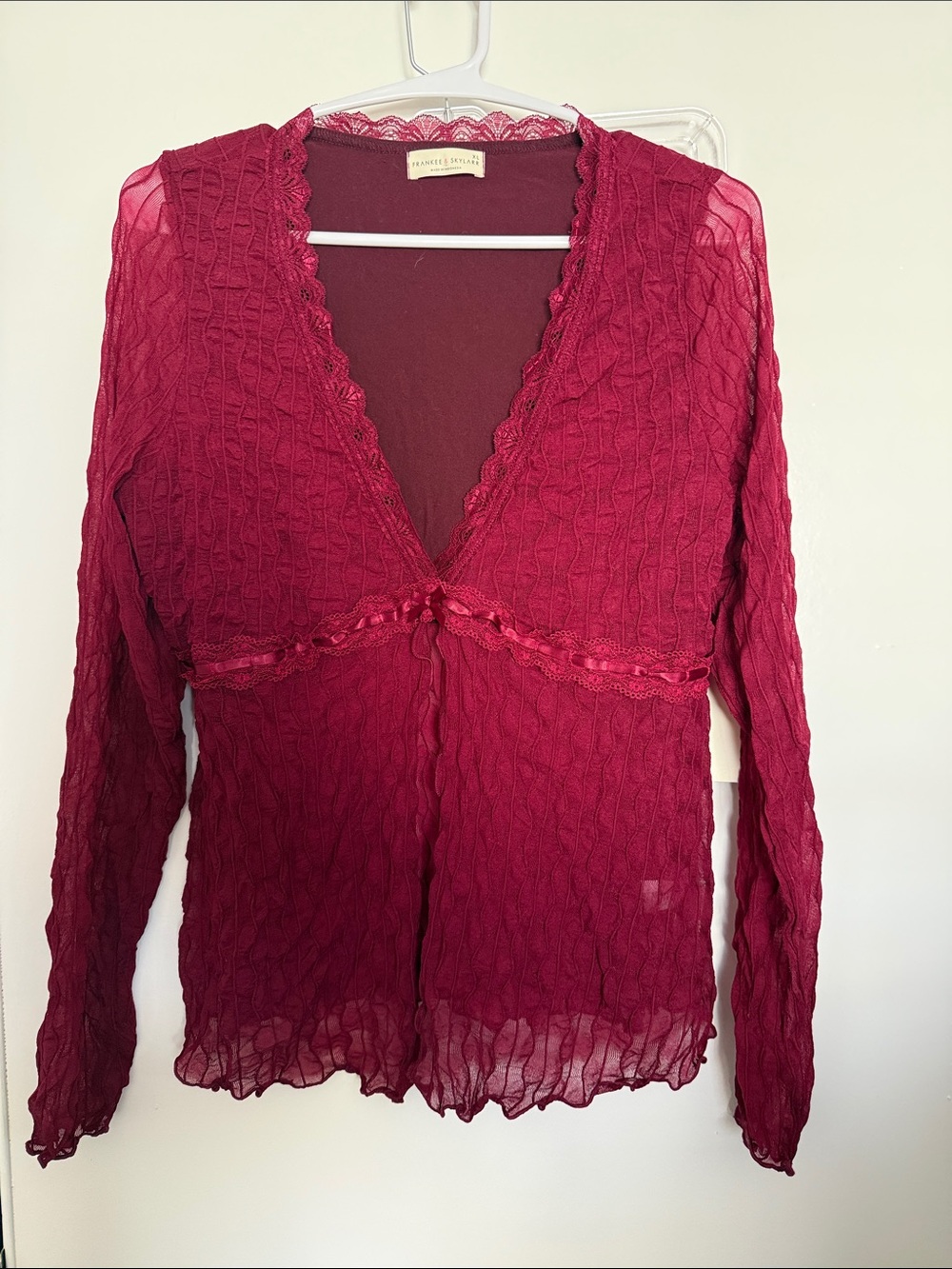 Burgundy Sheer V-Neck Blouse